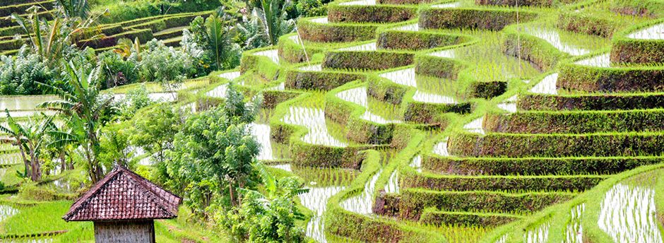 Offerte last minute per l' Indonesia