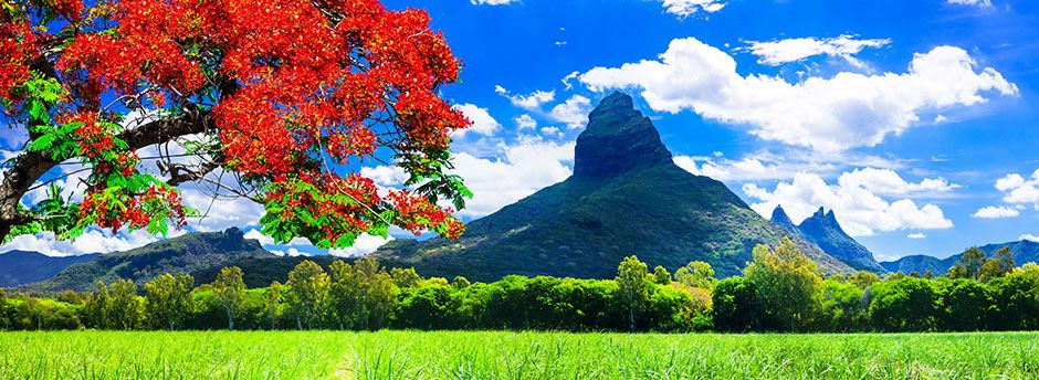 Plan your trip with our Mauritius Travel Guide